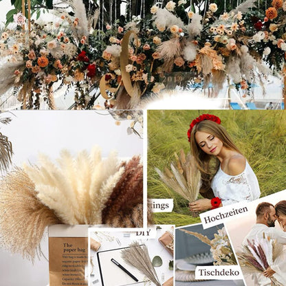 75 stk tørket blomst naturlig pampas gressbukett bohemsk chic dekorasjon ekte kaninhale reed for bryllupstilbehør dekor