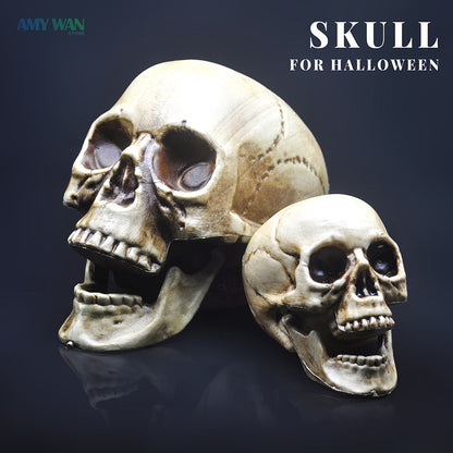 Skull Decor Prop Skeleton Head Plastic 1: 1 Model Halloween Style Haunted House Party Home Decoration Game leverer høy kvalitet